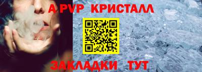 спиды Сланцы