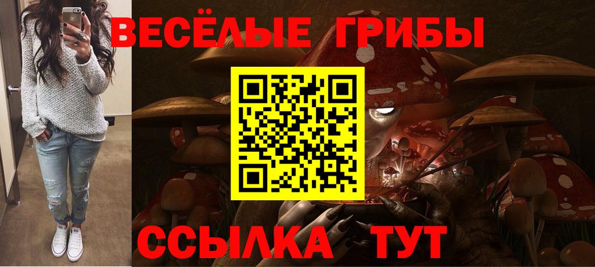 Сергиев Посад  Псилоцибиновые грибы Psilocybine cubensis  Вход с VPN 