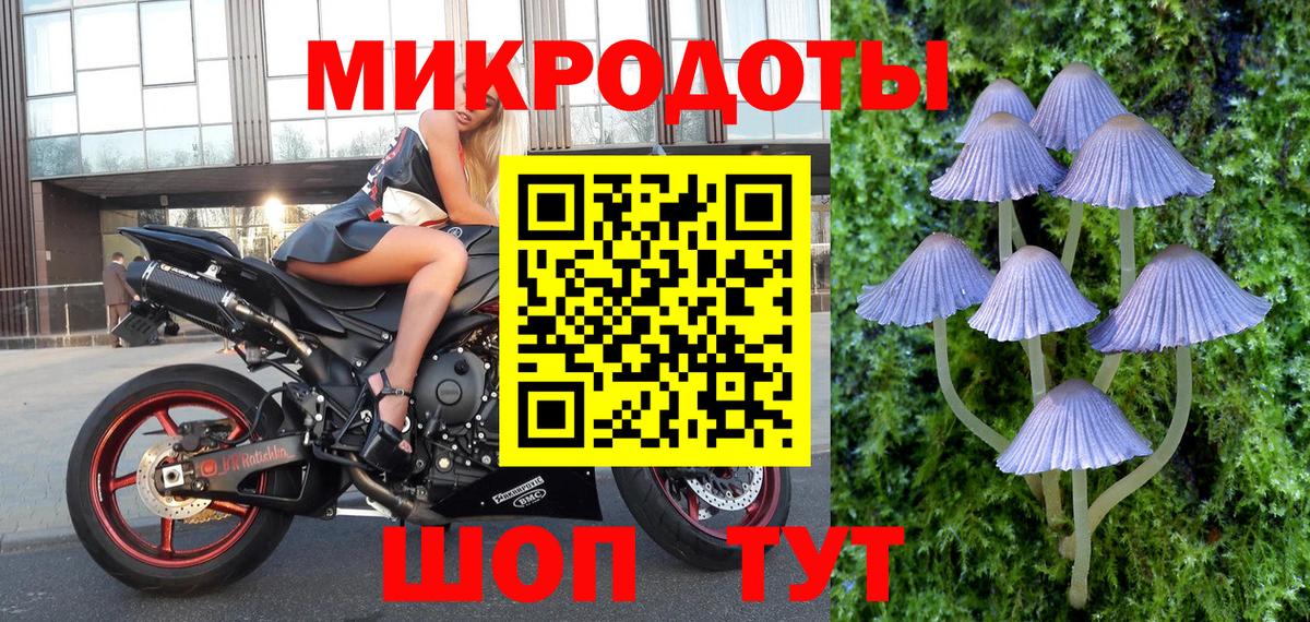 Галлюциногенные грибы мицелий Сергиев Посад